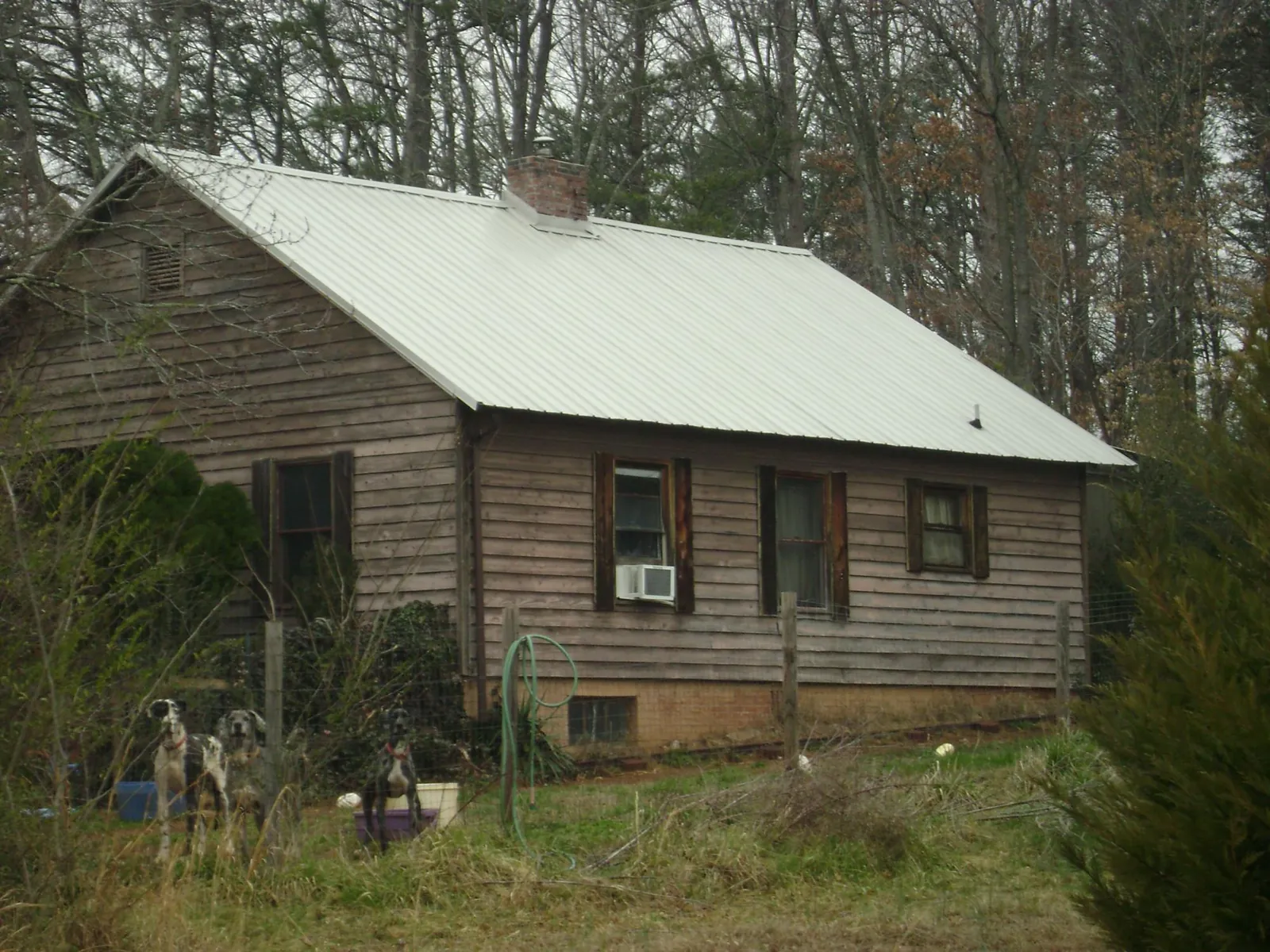 White metal roof on an old wood sided farmhouse, from a Metal Roof Installation job in Oakridge